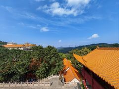 -深圳仙湖植物园
