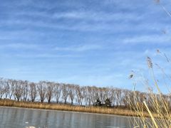 -大兴滨河森林公园