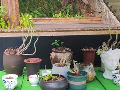 -箱美术馆私房菜(水晶郦城店)