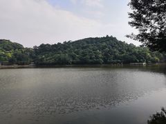 -西樵山风景名胜区-天湖公园