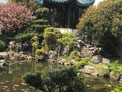 -華僑飯店中餐厅