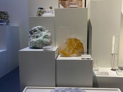 -重庆自然博物馆(新馆)