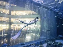 -成都浩海立方海洋公园