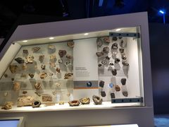 -墨尔本博物馆(Melbourne Museum)