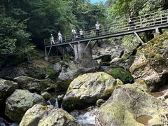 -龙苍沟森林公园