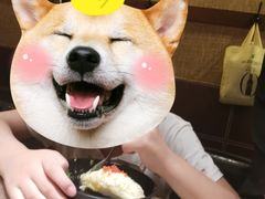 -昊·来了寿司(泡桐树店)