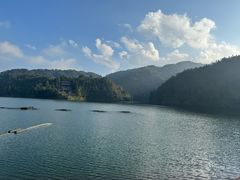 -云南屏边大围山国家公园