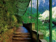 -山西通天峡景区