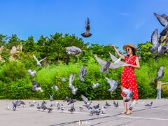 -西霞口神雕山野生动物世界