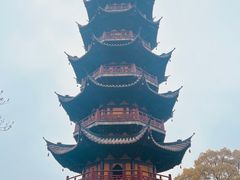 -龙华素斋(龙华路店)