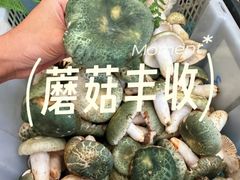 -三锅莊·牦牛肉火锅·香格里拉特色藏餐宴请餐厅(昆明创始店)