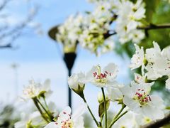 -国际非物质文化遗产博览园