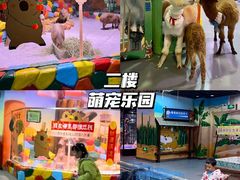 -顺德南宏海立方海洋公园