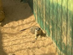 -昆明动物园