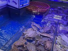 -盒马鲜生(大成店)