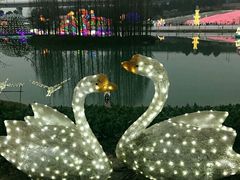 -秀丽东方
