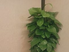 -水云间水疗会馆(福强路店)