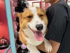 -FAELING PETS美天灵宠物(合生汇店)