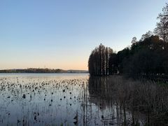 -东湖落雁景区