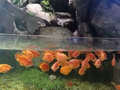 -福州罗源湾海洋世界旅游区