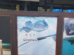 -环滩岛
