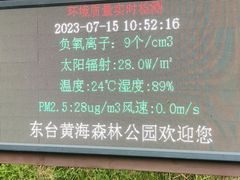 -黄海国家森林公园