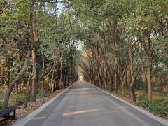 -同里国家湿地公园