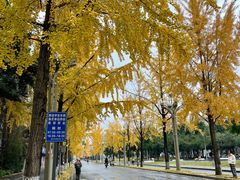 -四川大学(望江校区)