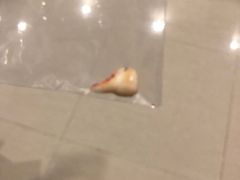 -茂菊口腔连锁(浦东南路店)