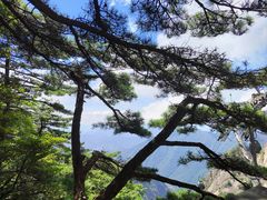 -黄山风景区