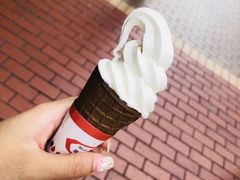 -富豪雪糕车流动点(尖沙咀店)