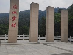 -铁山坪森林公园