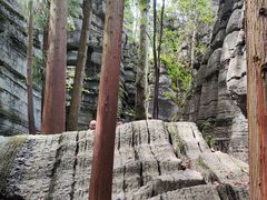 -梭布垭石林景区