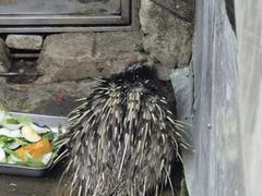 -黔灵山公园