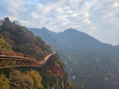 -少华山国家森林公园