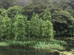 -广州市石门国家森林公园