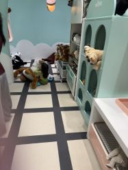 点击看大图 -奈尔宝家庭中心·亲子餐厅(苏州大悦城店)