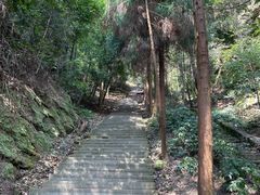 -缙云山景区