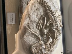 -辽宁古生物博物馆