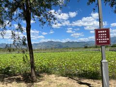 -野鸭湖国家湿地公园