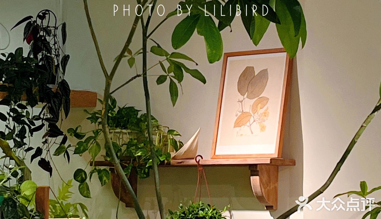 佛山叹啡 | 误入美丽花丛