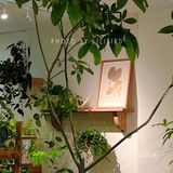 佛山叹啡 | 误入美丽花丛