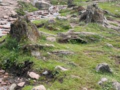 -新疆那拉提国家旅游度假区