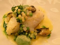 银鳕鱼-福楼法餐厅FLO