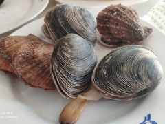 -春华海鲜城(广场西苑店)