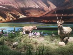 -中国湿地博物馆