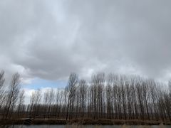 -蒲河岛湿地公园