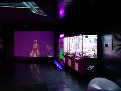-V-SHOW KTV(济南概念店)