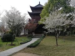 -堤角公园