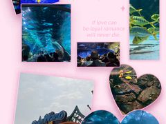 -大连圣亚海洋世界